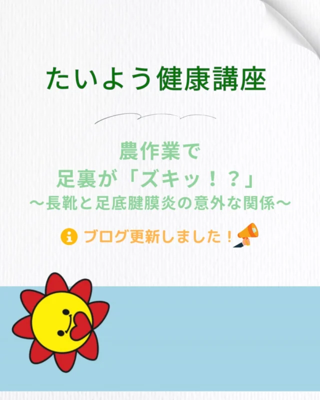 「長靴で農作業してたら、かかとが痛い…！」

こんな症状がある人は要注意！ 
・朝、足裏がズキッと痛む 
・かかとがじんじんする 
・土踏まずがつっぱる

それ、足底腱膜炎かもしれません。 

夏野菜が元気に育つこの季節、畑仕事にも熱が入りますよね！

私も、休日は元気に動き回っています！

そして、
毎年、タケノコを掘りに、竹藪を動き回っていると
毎年、新調したばかりの長靴を破いていたので
今年は、破れてもいいように安い長靴を買ってみました！
すると・・・
朝、起きようとすると、激痛が！
まさかの足底腱膜炎
ということで、
ユーホーへ行ってインソールを買い装着しました！

しかも、今年は長靴破れなかった・・・
安い長靴の方が、実は頑丈なんでしょうか？？

長靴 × 農作業で起こりやすい足のトラブル 
理由として
・クッション性がない 
・土踏まずのサポートがない
・中腰・しゃがみ作業の連続
これ、足にめちゃくちゃ負担かかってます

インソールをつけると
✅ 衝撃吸収 
✅ アーチサポート 
✅ 安定感UP

これで、早期の場合は、数日で痛みが激減します。

たいようでは、治療＋セルフケアの両面からサポートしています。 
足裏の違和感は、我慢せずに早めの対処がカギです！

#足底腱膜炎　#インソール　#長靴
#広島 #三次市 #広島県三次市 #整骨鍼灸院たいよう #整骨 #接骨 #鍼灸

👉ウェルネスアドバイザーとしての活動や、
野菜栽培などの田舎ぐらしの情報は、
@naoya.kanemoto をのぞいてみてください🌱